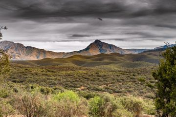 Mapa cerrado, vegetação cerrado, bioma do cerrado