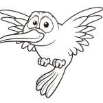 Desenhos de aves para colorir - beija flor