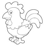 Desenhos de aves para colorir - galinha 1