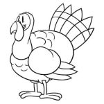 Desenhos de aves para colorir - pavão 1