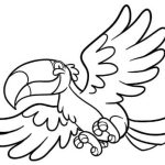 Desenhos de aves para colorir - tucano