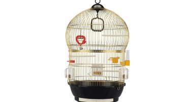 As Melhores Gaiolas para Pássaros Pequenos Gaiola para passaros Pequenas