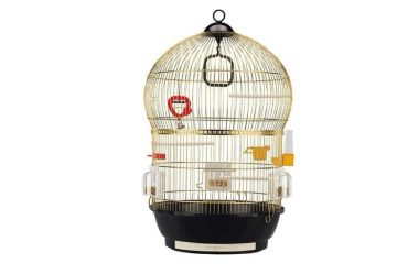 Gaiola para passaros Pequenas