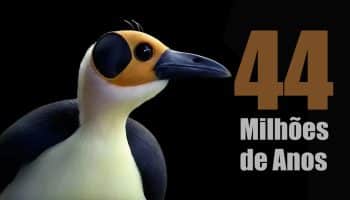 O Pássaro dos 44 Milhões de Anos