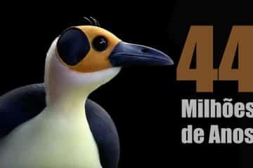 O Pássaro dos 44 Milhões de Anos