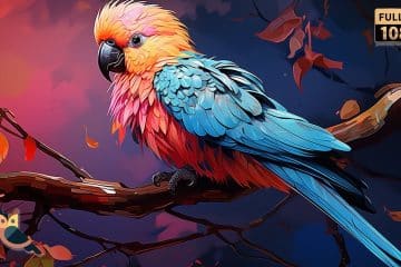passaros com as penas mais coloridas